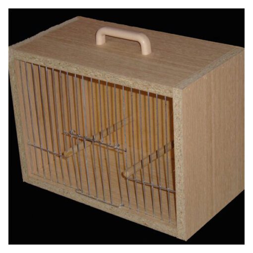 Carry Box - Medium