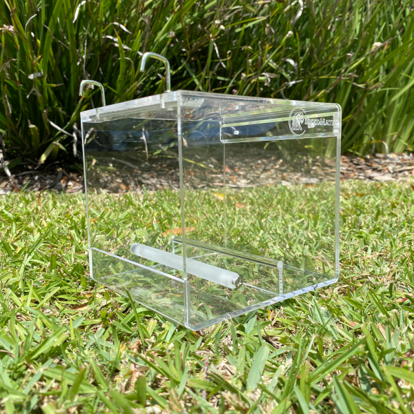 SeedMate No-Mess Bird Feeder - SMALL - Image 4